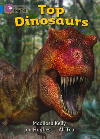 Könyv Collins Big Cat - Top Dinosaurs Workbook Ali Teo