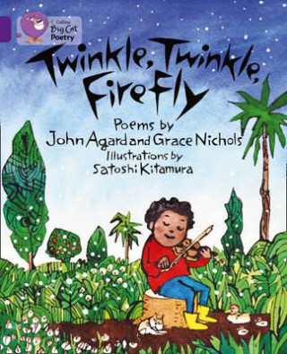 Kniha Collins Big Cat - Twinkle, Twinkle, Firefly Workbook John Agard