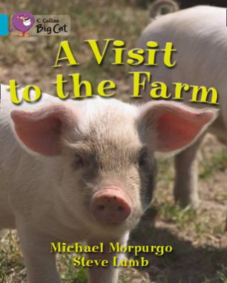 Knjiga Collins Big Cat - A Visit to the Farm Workbook Michael Morpurgo