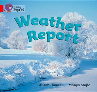 Kniha Collins Big Cat - Weather Report Workbook Alison Hawes