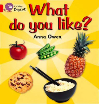 Könyv What Do You Like? Workbook Anna Owen