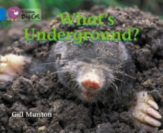 Livre What's Underground Gill Munton