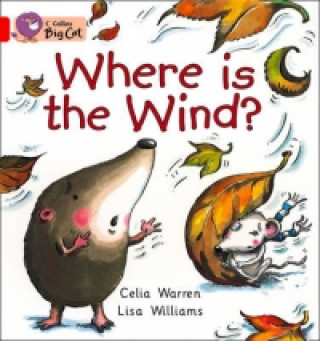 Carte Where is the Wind? Celia Warren