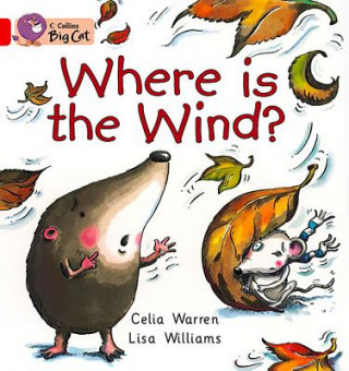 Carte Where is the Wind? Workbook Celia Warren