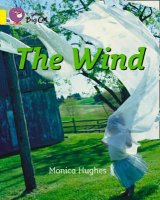 Könyv Collins Big Cat - The Wind Workbook Monica Hughes