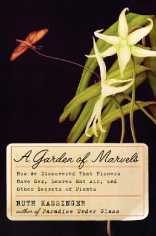 Kniha Garden of Marvels KASSINGER  RUTH