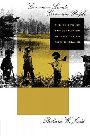 Книга Common Lands, Common People Richard W. Judd