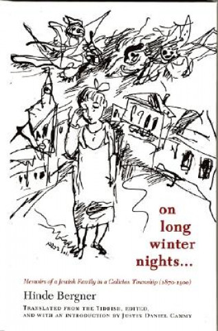 Kniha On Long Winter Nights... Hinde Bergner