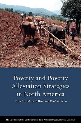 Kniha Poverty and Poverty Alleviation Strategies in North America Sandra K. Danziger