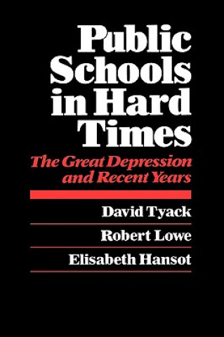 Könyv Public Schools in Hard Times David Tyack