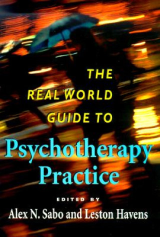 Knjiga Real World Guide to Psychotherapy Practice 