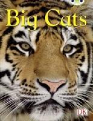 Carte BC NF Brown B/3B Big Cats Sarah Walker