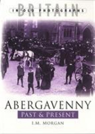 Könyv Abergavenny Past and Present L.M. Morgan