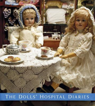 Książka Dolls' Hospital Diaries Christabel Scaife