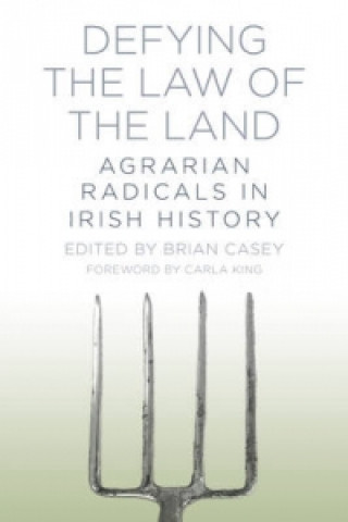 Carte Defying the Law of the Land Brian Casey