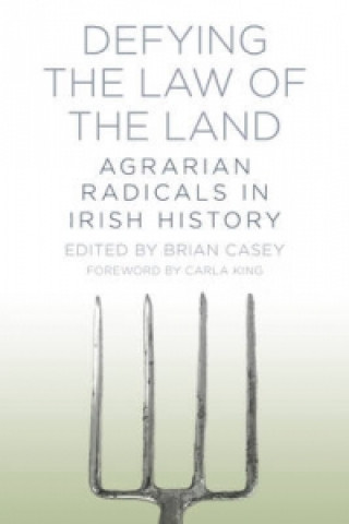 Kniha Defying the Law of the Land Brian Casey