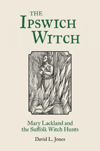 Kniha Ipswich Witch David L. Jones