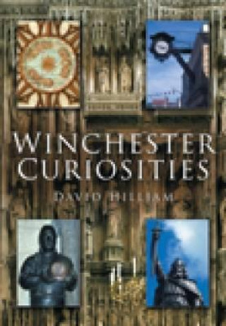 Buch Winchester Curiosities David Hilliam