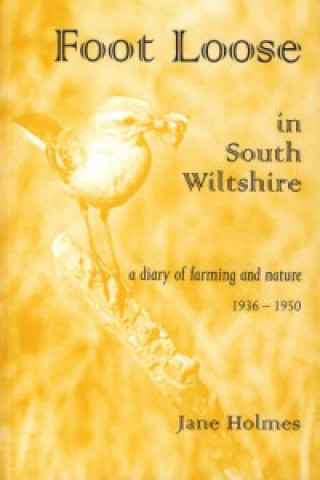 Книга Foot Loose in South Wiltshire Jane Holmes