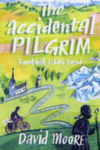 Buch Accidental Pilgrim David Moore