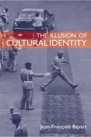 Könyv Illusion of Cultural Identity Jean-Francois Bayart