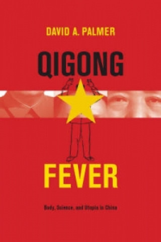 Carte Qigong Fever David A Palmer