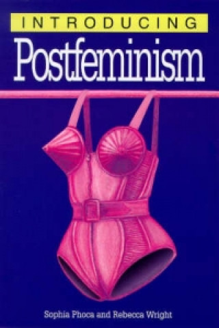 Книга Introducing Postfeminism Sophia Phoca
