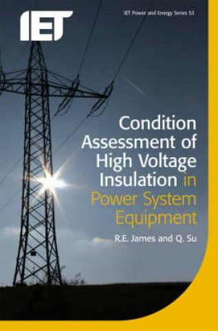 Könyv Condition Assessment of High Voltage Insulation in Power System Equipment Q. Su