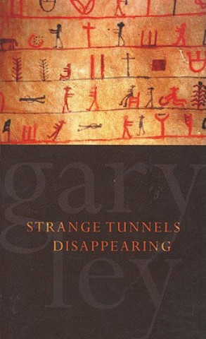 Book Strange Tunnels Disappearing Gary Ley