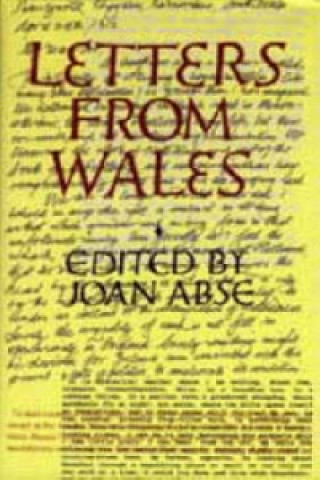 Kniha Letters from Wales Joan Abse