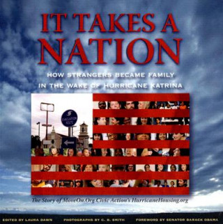 Kniha It Takes a Nation Laura Dawn