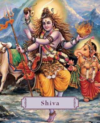 Könyv Shiva James H. Bae