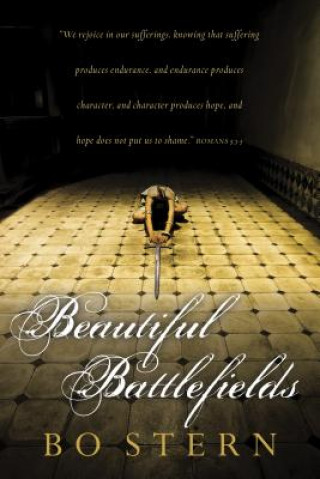 Kniha BEAUTIFUL BATTLEFIELDS BO STERN