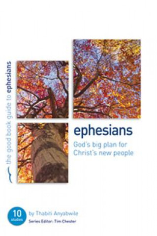 Carte Ephesians: God's Big Plan for Christ's New People THABITI ANYABWILE