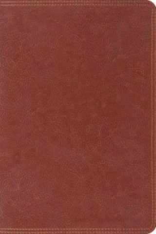 Buch ESV Giant Print Bible 