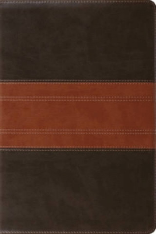 Könyv ESV Study Bible 