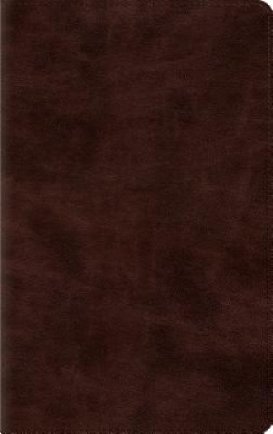 Livre ESV Thinline Bible 