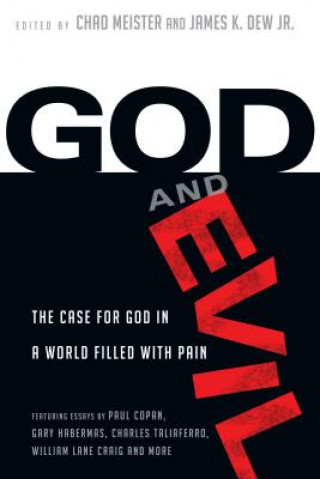 Kniha God and Evil - The Case for God in a World Filled with Pain CHAD MEISTER