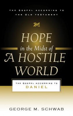 Knjiga Hope in the Midst of a Hostile World George M Schwab