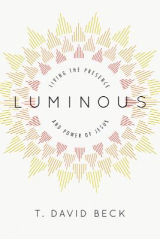 Kniha LUMINOUS T. DAVID BECK