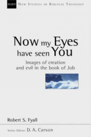 Livre Now My Eyes Have Seen You Robert Fyall