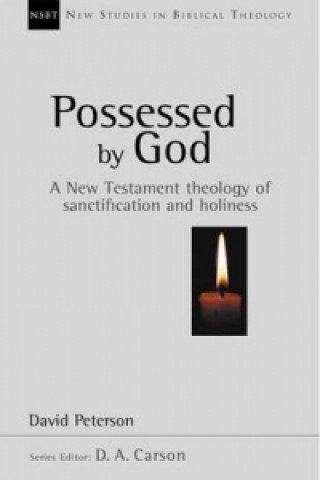 Buch Possessed by God David Peterson