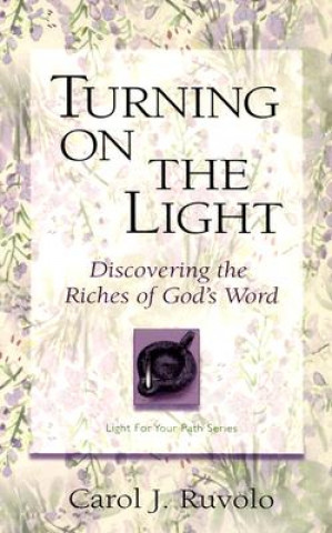 Kniha Turning on the Light Carol J Ruvolo