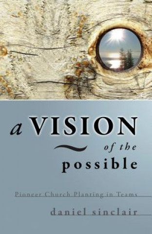 Kniha Vision of the Possible  A DANIEL SINCLAIR