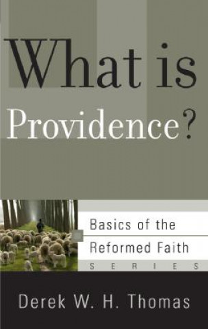 Kniha What is Providence? Thomas
