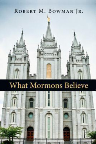 Książka What Mormons Believe ROBERT M. BOWMA JR.