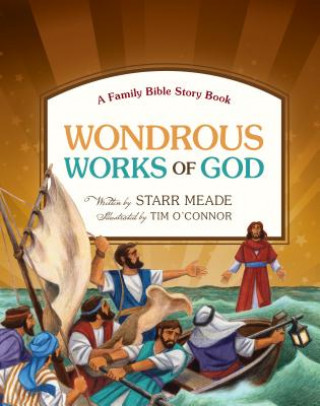 Книга Wondrous Works of God Starr Meade