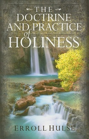 Libro Doctrine and Practice of Holiness Erroll Hulse