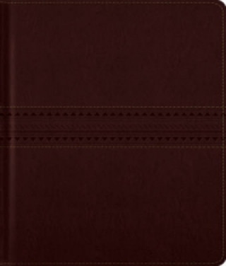 Kniha ESV Journaling Bible 