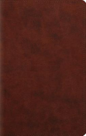 Libro ESV Large Print Personal Size Bible Crossway Bibles